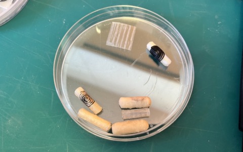 Capsula intelligente per il trattamento delle ulcere intestinali