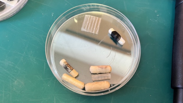 Capsula intelligente per il trattamento delle ulcere intestinali