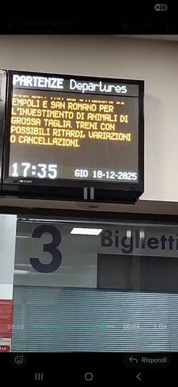 Investito un gregge di pecore da un treno sulla tratta Firenze-Pisa